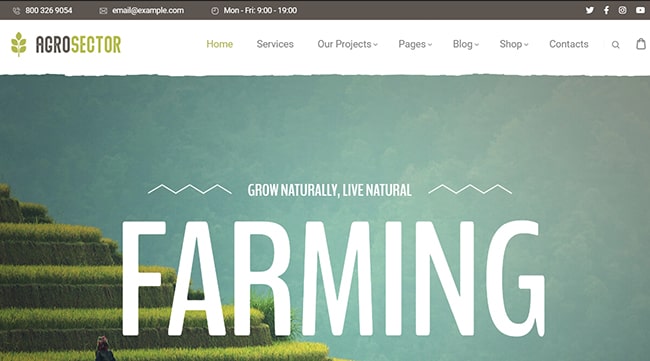 Mẫu template giới thiệu công ty cung cấp nông sản